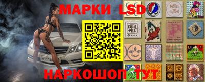 гидра Будённовск