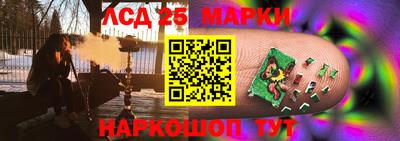 гидра Будённовск
