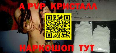 гидра Будённовск