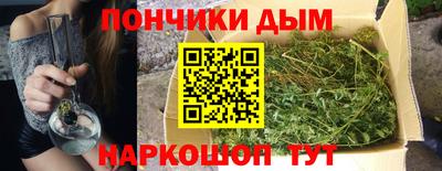 гидра Будённовск