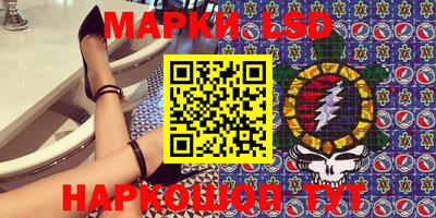 гидра Будённовск